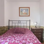 Mayo B Conil De La Frontera