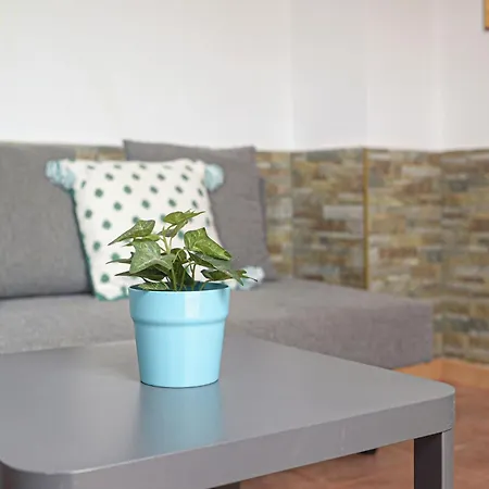 Mayo B Appartement *